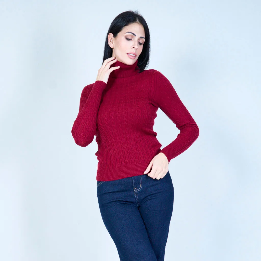 Cable-knit sweater with turtleneck wholesale