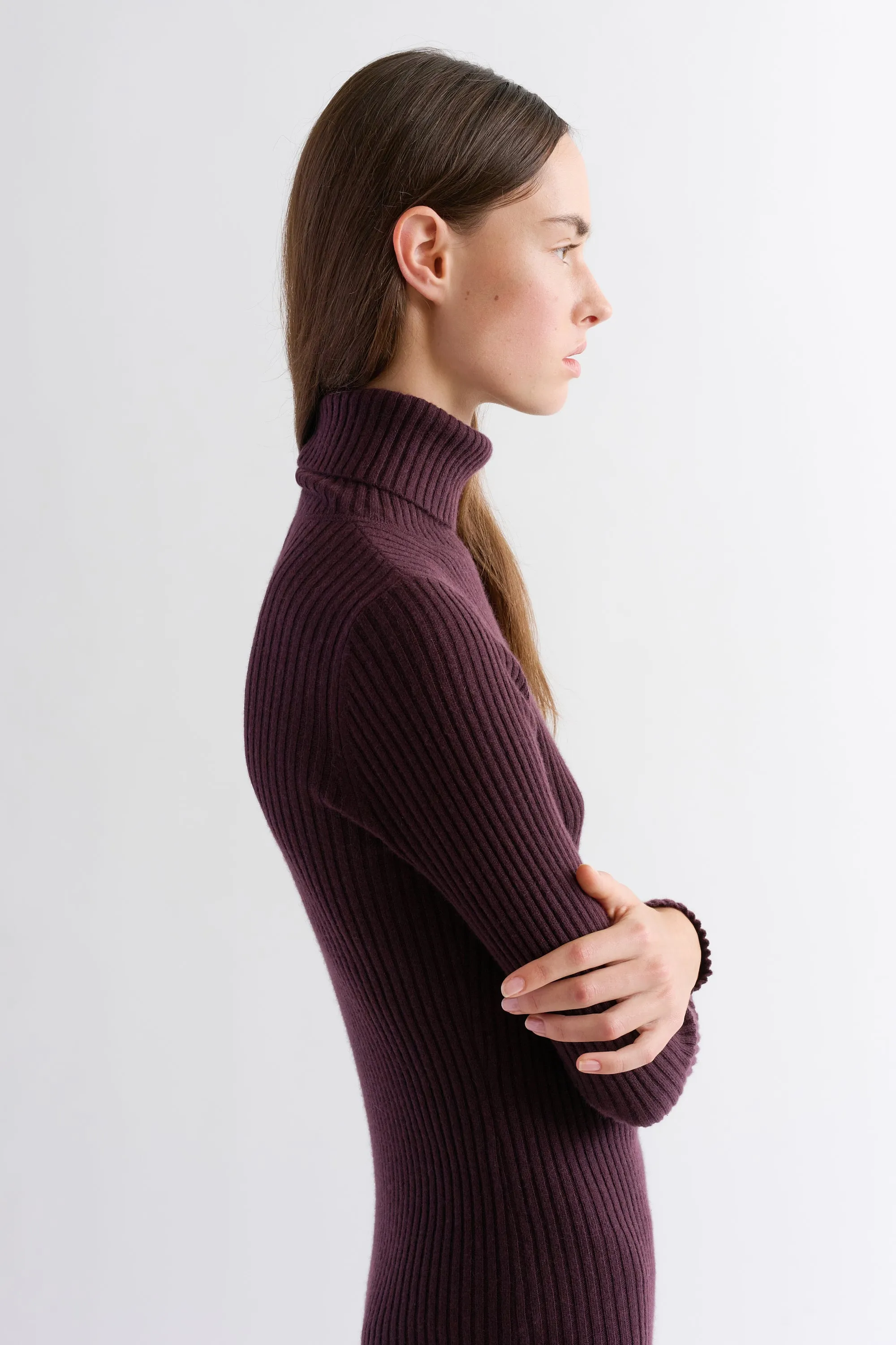 POORBOY RIB TURTLENECK DRESS